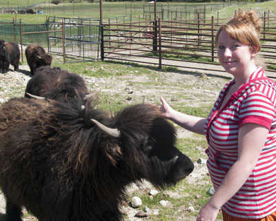 super wooly yak heifer and FFA student